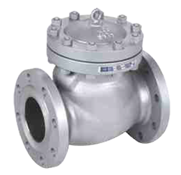  Check Valve